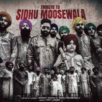 download Tribute To Sidhu Moosewala Emiway Bantai, Sidhu Moosewala mp3 song ringtone, Tribute To Sidhu Moosewala Emiway Bantai, Sidhu Moosewala full album download