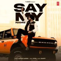 download Say My Name Satkar Sandhu mp3 song ringtone, Say My Name Satkar Sandhu full album download