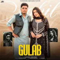 download Gulab Sahil Mehrok mp3 song ringtone, Gulab Sahil Mehrok full album download