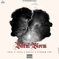 download The Way She Shines gURi mp3 song ringtone, The Way She Shines gURi full album download