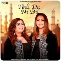 download Todi Da Ni Dil Hashmat Sultana mp3 song ringtone, Todi Da Ni Dil Hashmat Sultana full album download
