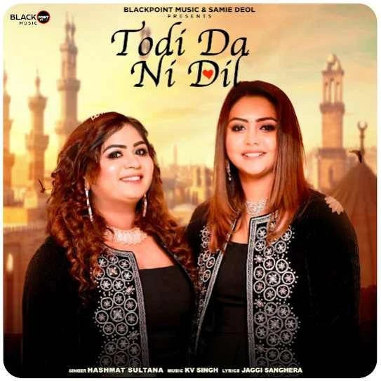 download Todi Da Ni Dil Hashmat Sultana mp3 song ringtone, Todi Da Ni Dil Hashmat Sultana full album download