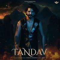 download Tandav Gulzaar Chhaniwala mp3 song ringtone, Tandav Gulzaar Chhaniwala full album download