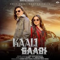 download Kaali Gaadi Amit Saini Rohtakiya mp3 song ringtone, Kaali Gaadi Amit Saini Rohtakiya full album download