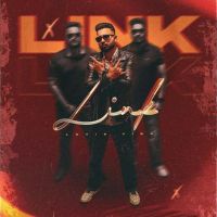 download Link Lovie Virk mp3 song ringtone, Link Lovie Virk full album download