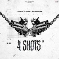 download DWC (Dont Worry Chick) Tarsem Jassar mp3 song ringtone, 4 Shots Tarsem Jassar full album download