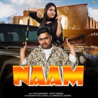 download Naam Ashu Twinkle mp3 song ringtone, Naam Ashu Twinkle full album download