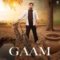 download Gaam Bintu Pabra mp3 song ringtone, Gaam Bintu Pabra full album download