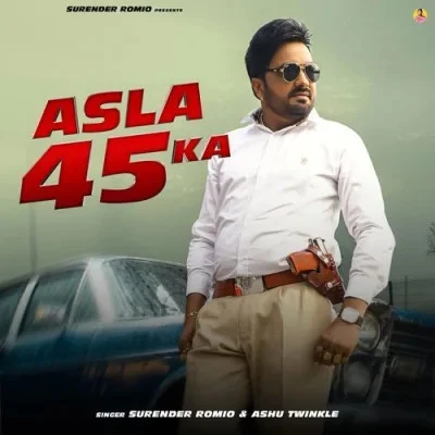download Asla 45 Ka Surender Romio, Ashu Twinkle mp3 song ringtone, Asla 45 Ka Surender Romio, Ashu Twinkle full album download