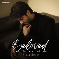 download Beloved Waseem Mumtaz, Bilal Saeed mp3 song ringtone, Beloved Waseem Mumtaz, Bilal Saeed full album download