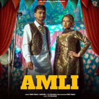 download Amli Preet Pablo mp3 song ringtone, Amli Preet Pablo full album download