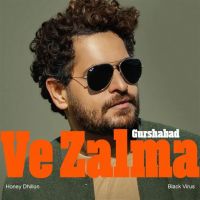 download Hit Jodi Gurshabad mp3 song ringtone, Ve Zalma Gurshabad full album download