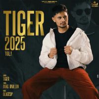 download Saah Tiger mp3 song ringtone, Tiger 2025 Vol. 1 Tiger full album download
