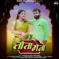 download Tota Maina Pawan Pilaniya, Nonu Rana mp3 song ringtone, Tota Maina Pawan Pilaniya, Nonu Rana full album download