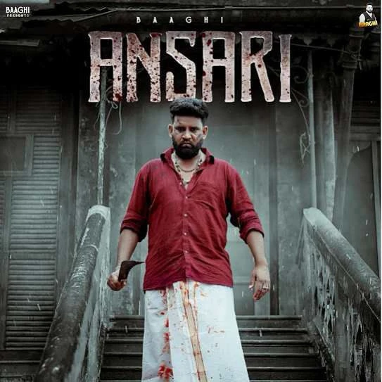 download Ansari Baaghi mp3 song ringtone, Ansari Baaghi full album download