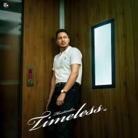 Download Timeless Hustinder full mp3 album