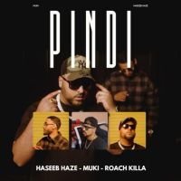 download Pindi Haseeb Haze mp3 song ringtone, Pindi Haseeb Haze full album download