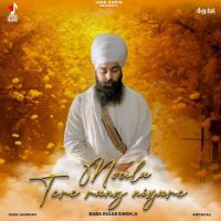 download Moula Tere Rang Niyare Baba Gulab Singh Ji mp3 song ringtone, Moula Tere Rang Niyare Baba Gulab Singh Ji full album download