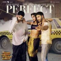 download Perfect Guru Randhawa mp3 song ringtone, Perfect Guru Randhawa full album download