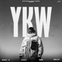 Download YKW Sukh-E Muzical Doctorz full mp3 album