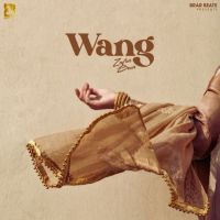 download Wang Zafar Brar mp3 song ringtone, Wang Zafar Brar full album download