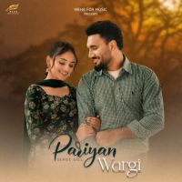 download Pariyan Wargi Semee Gill mp3 song ringtone, Pariyan Wargi Semee Gill full album download
