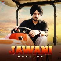 download Jawani Gurlluv mp3 song ringtone, Jawani Gurlluv full album download