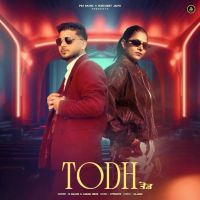 download Todh B Majxr mp3 song ringtone, Todh B Majxr full album download