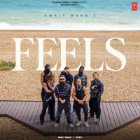 download Feels Amrit Maan mp3 song ringtone, Feels Amrit Maan full album download