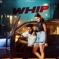 download Whip Baaghi mp3 song ringtone, Whip Baaghi full album download