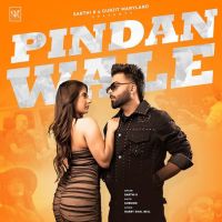 download Pindan Wale Sarthi K mp3 song ringtone, Pindan Wale Sarthi K full album download