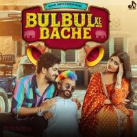 download Bulbul Ke Bache Raj Mawar, Shiva Choudhary mp3 song ringtone, Bulbul Ke Bache Raj Mawar, Shiva Choudhary full album download