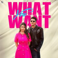 download What You Want Arjun Sahota mp3 song ringtone, What You Want Arjun Sahota full album download