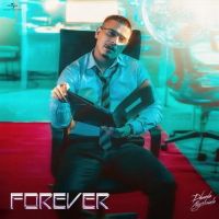 download Forever Dhanda Nyoliwala mp3 song ringtone, Forever Dhanda Nyoliwala full album download