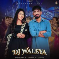 download Dj Waleya Surinder Baba mp3 song ringtone, Dj Waleya Surinder Baba full album download