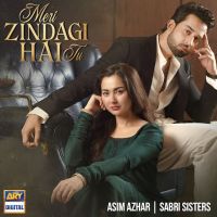 download Meri Zindagi Hai Tu Asim Azhar mp3 song ringtone, Meri Zindagi Hai Tu Asim Azhar full album download