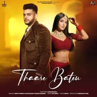 download Thaare Bateu Ashu Twinkle, Raj Mawar mp3 song ringtone, Thaare Bateu Ashu Twinkle, Raj Mawar full album download