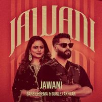 download Jawani Sarb Cheema mp3 song ringtone, Jawani Sarb Cheema full album download