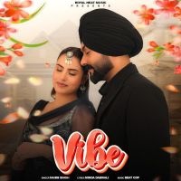 download Vibe Naibb Singh mp3 song ringtone, Vibe Naibb Singh full album download