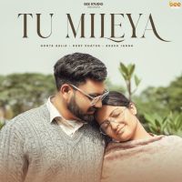 download Tu Mileya Boota Aklia mp3 song ringtone, Tu Mileya Boota Aklia full album download