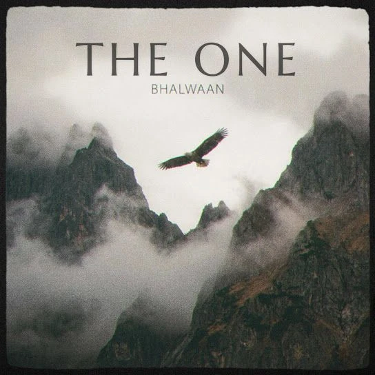 download The One Bhalwaan mp3 song ringtone, The One Bhalwaan full album download