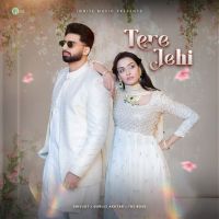 download Tere Jehi Shivjot mp3 song ringtone, Tere Jehi Shivjot full album download
