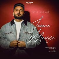 download Jaane Meriye Savi Kahlon mp3 song ringtone, Jaane Meriye Savi Kahlon full album download