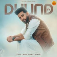 download Dhund Baaghi mp3 song ringtone, Dhund Baaghi full album download