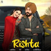 download Rishta Naibb Singh mp3 song ringtone, Rishta Naibb Singh full album download