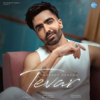 download Tevar Harrdy Sandhu mp3 song ringtone, Tevar Harrdy Sandhu full album download