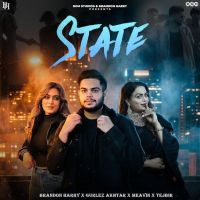 download State Brandon Harry mp3 song ringtone, State Brandon Harry full album download