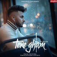 download Tere Gham Aman Jaluria mp3 song ringtone, Tere Gham Aman Jaluria full album download