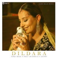 download Dildara Sargi Maan mp3 song ringtone, Dildara Sargi Maan full album download