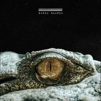 download Banda Maarda Jind Dhillon mp3 song ringtone, Banda Maarda Jind Dhillon full album download